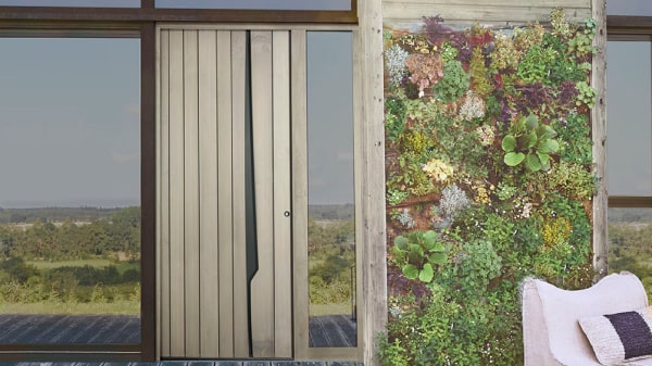 Porte d'entrée bois Constance