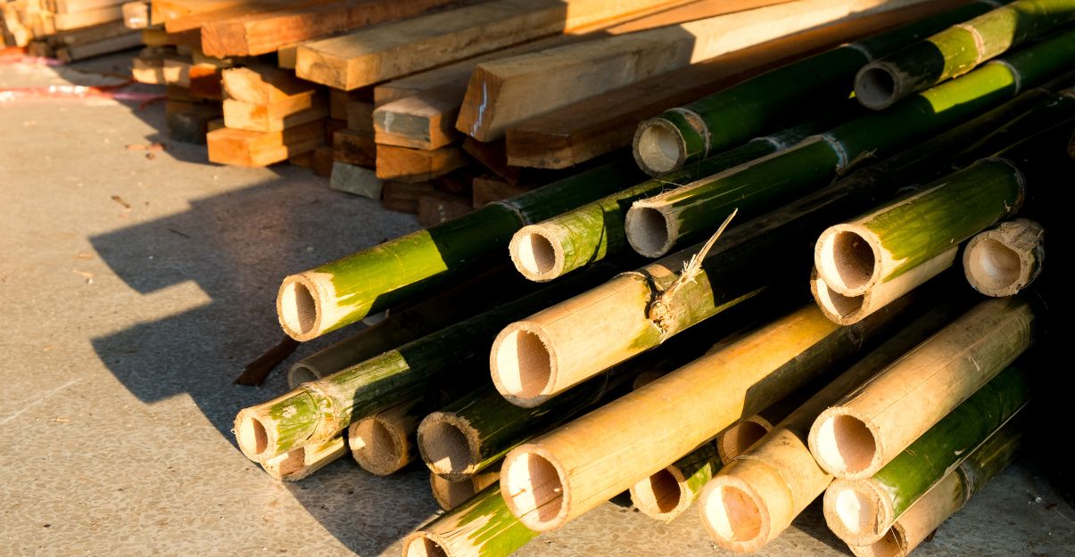 utilisation du bambou en construction 