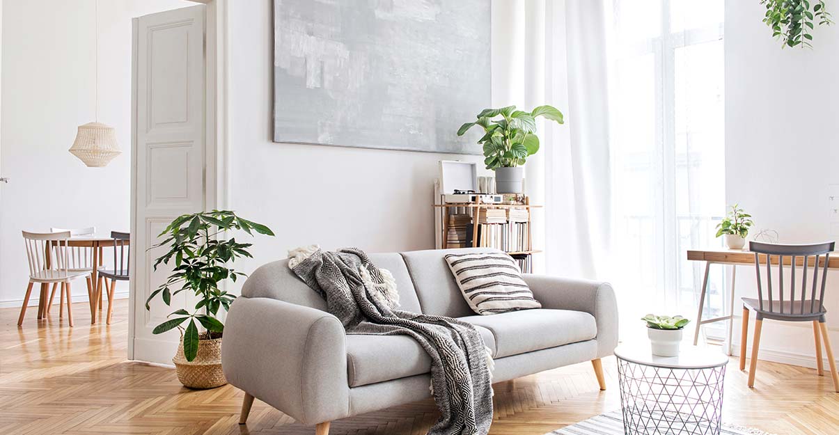 un salon au style scandinave inondé de lumière naturelle