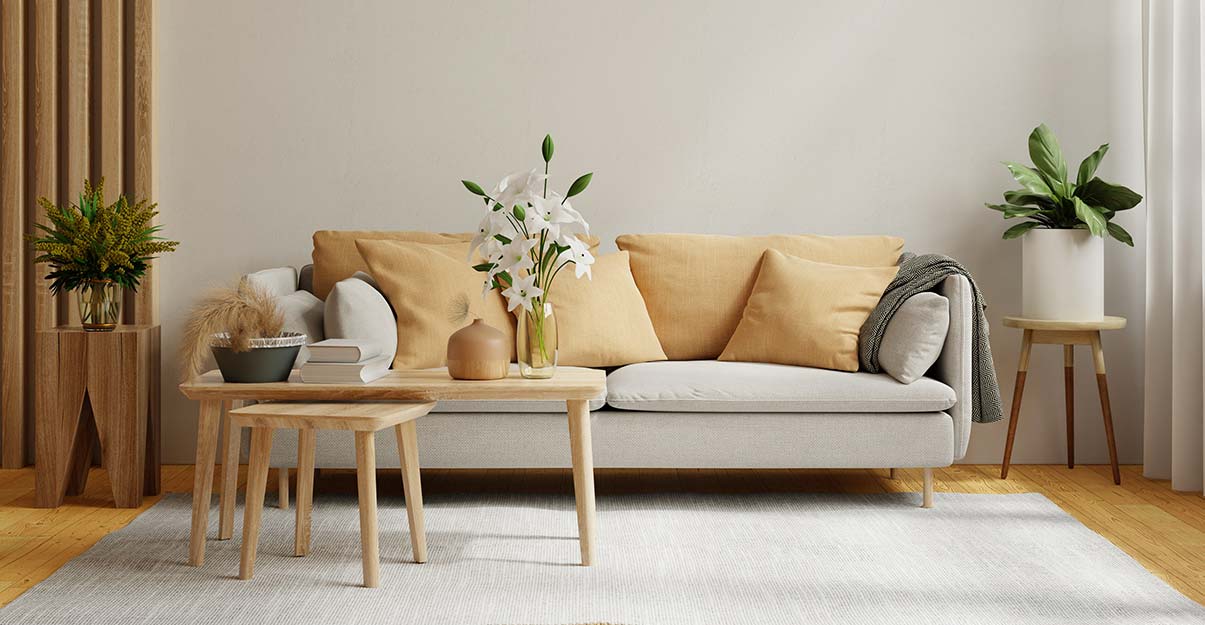 un salon au style scandinave confortable et fonctionnel