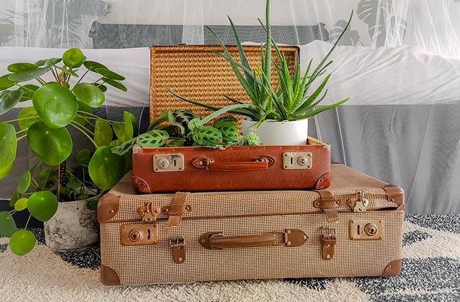 une chambre au style vintage