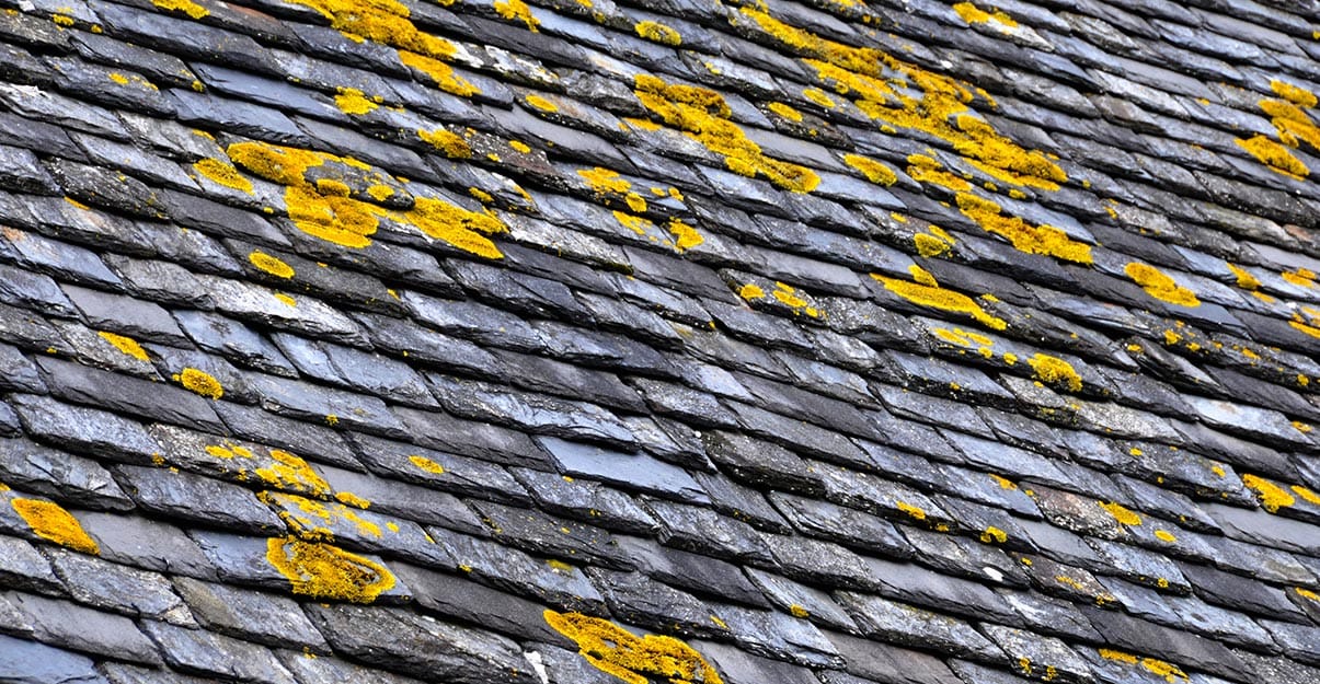 Toiture ardoises et entretien