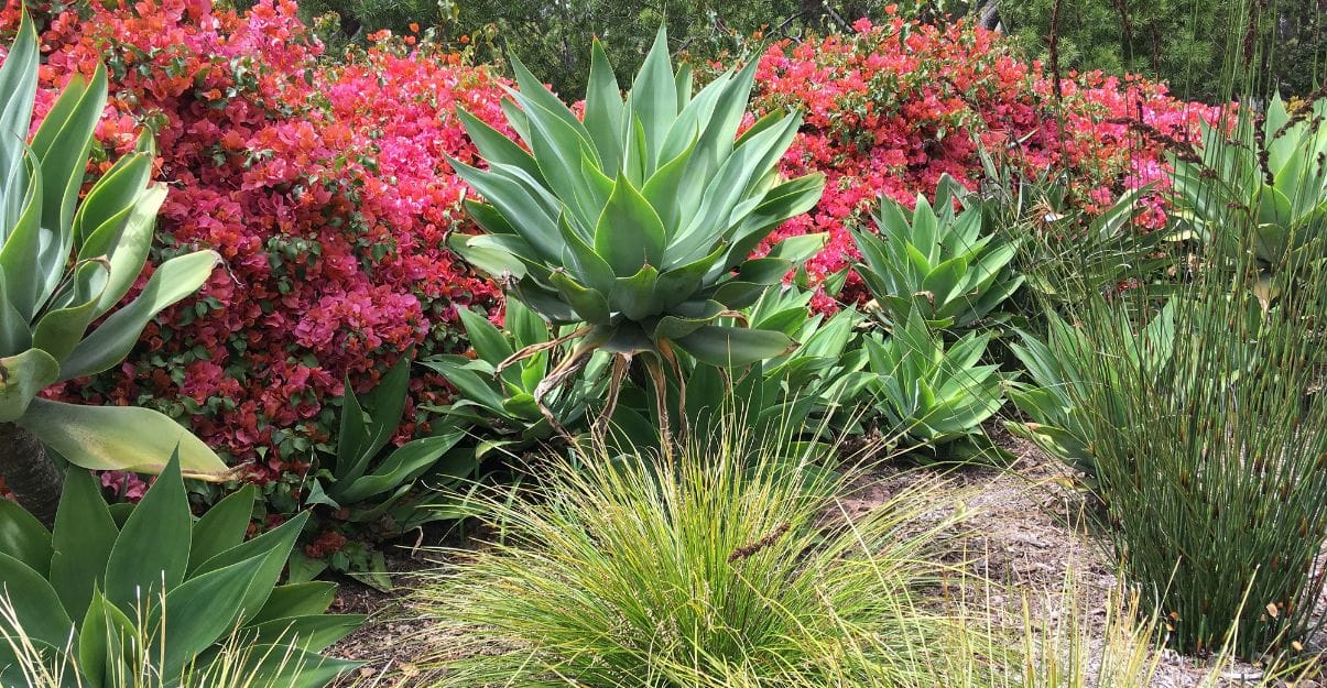 travaux jardin rentrée