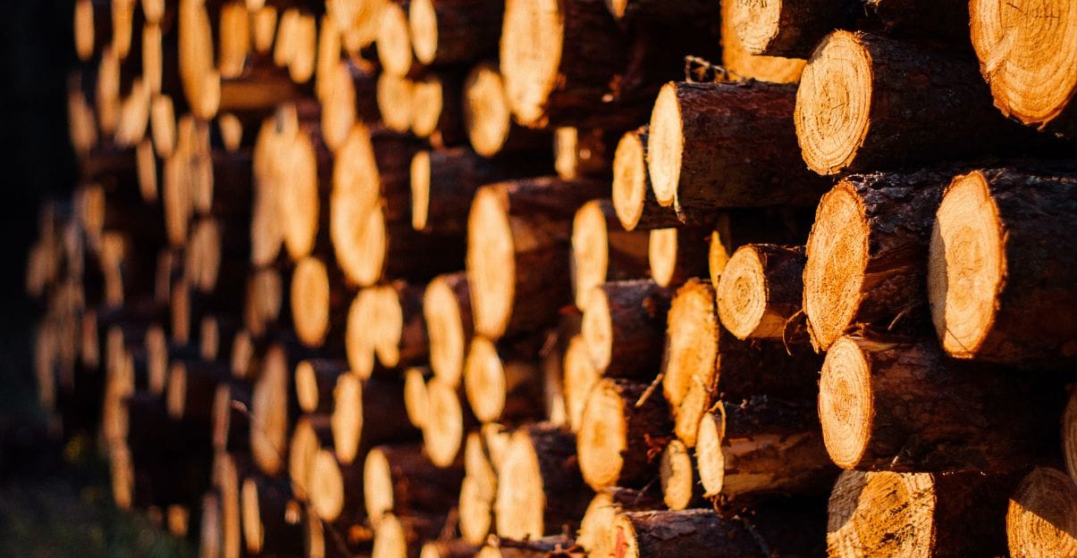 stockage bois de chauffage