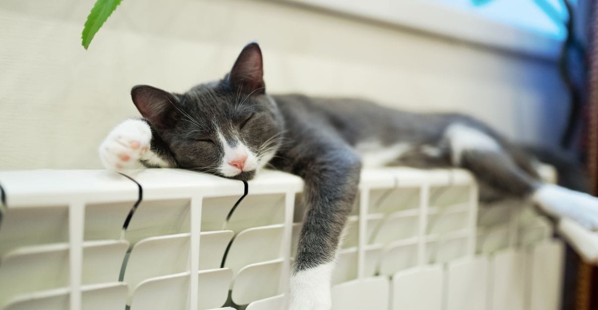 chauffer sans isoler