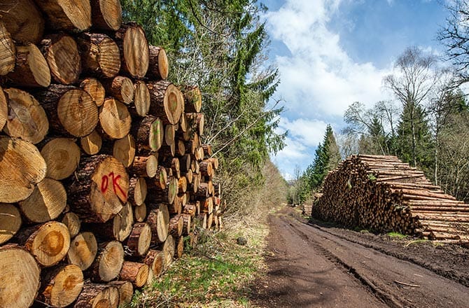 Prix chaudière bois bûches