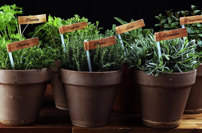 Une cuisine style campagne