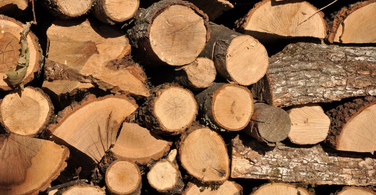 quelle essence bois de chauffage