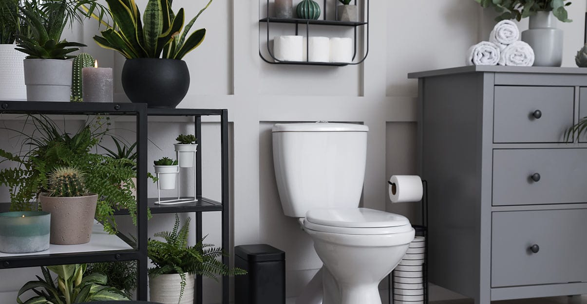 Aménagement des toilettes