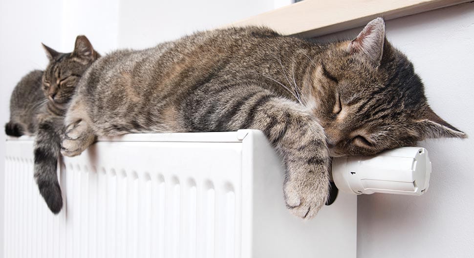 Tout savoir sur le chauffage collectif 