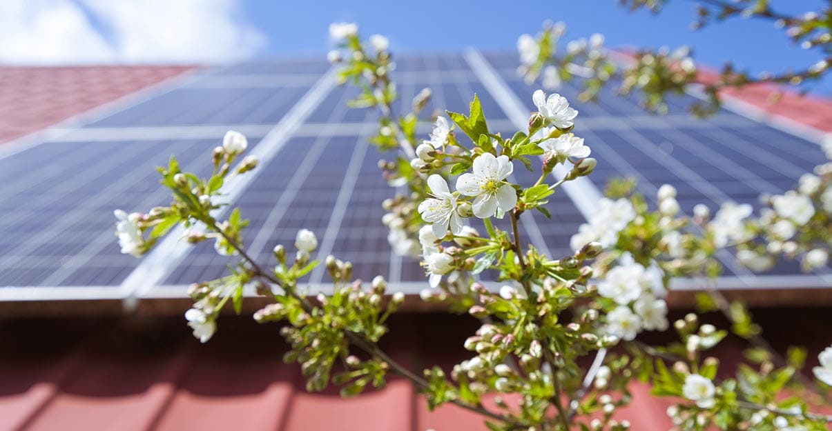 Pourquoi et comment nettoyer des panneaux solaires et photovoltaïques