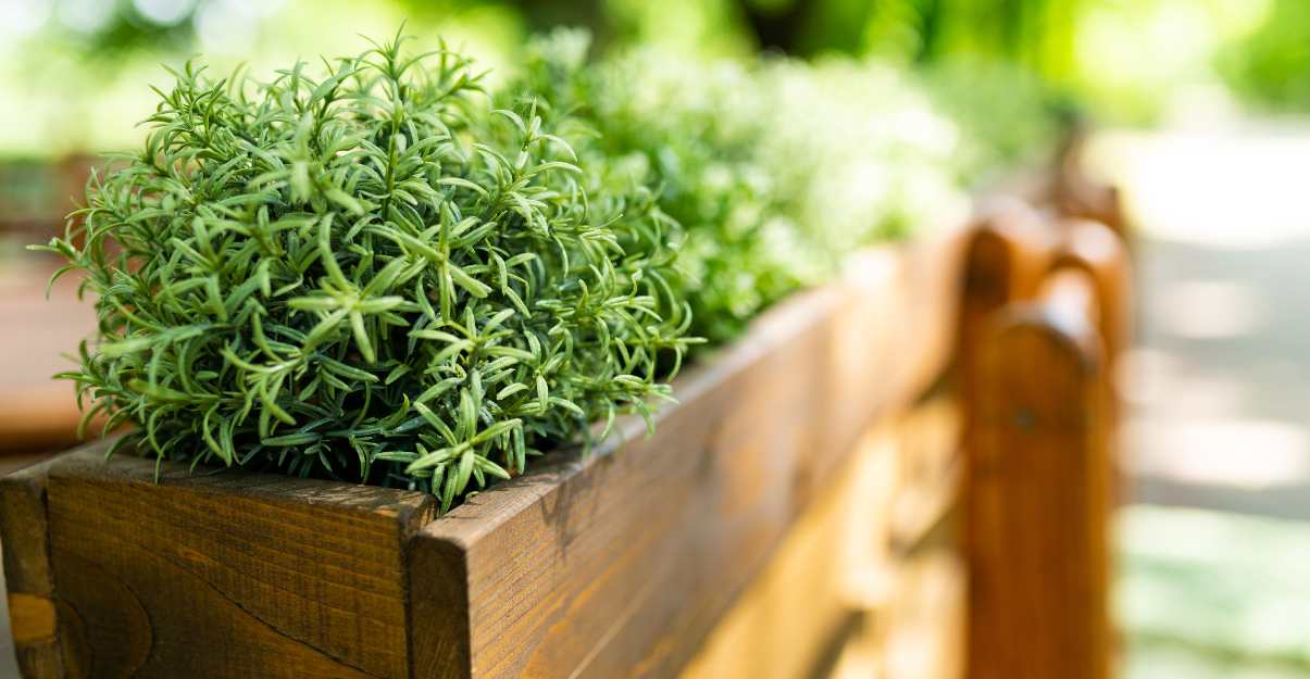 Privilégiez des aménagements à hauteur accessible