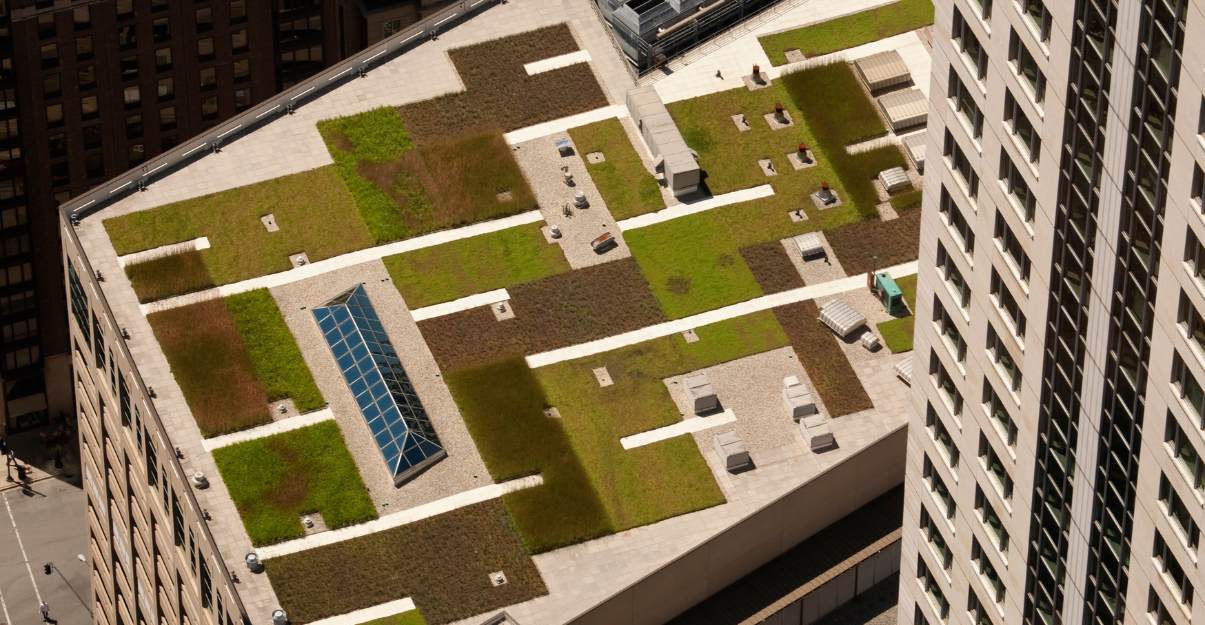 Comment fonctionne un toit végétalisé ?