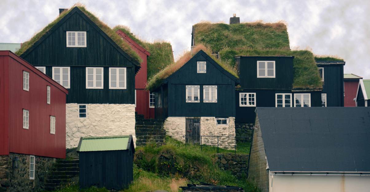 L’incidence du toit végétalisé sur l'étanchéité