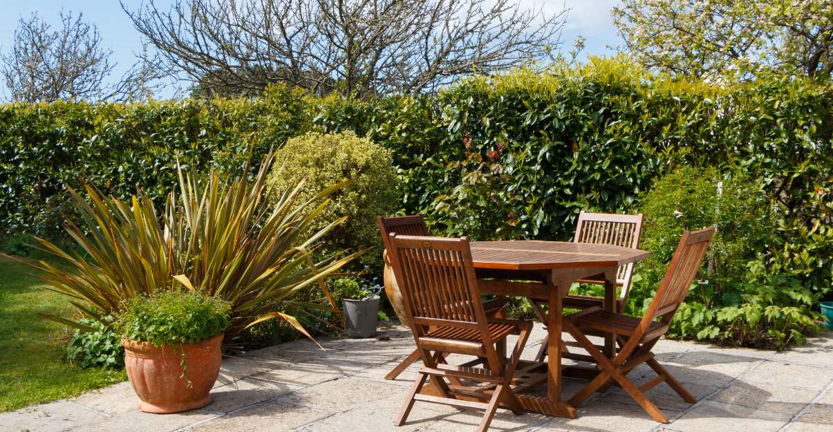 Aménagez une végétation dense et adaptée