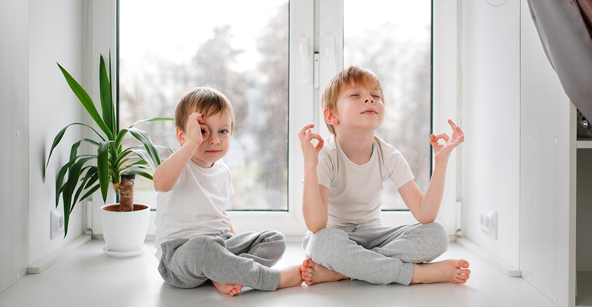 la fenêtre phonique, solution efficace contre le bruit 