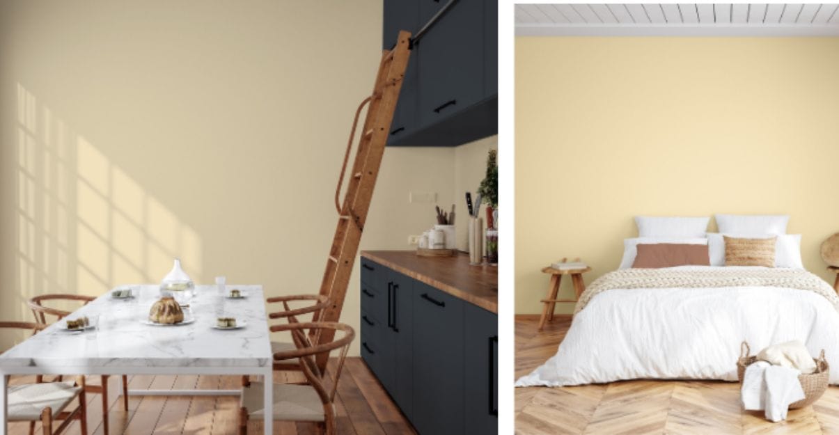 Le Jaune Renoir : Couleur de l'année 2024