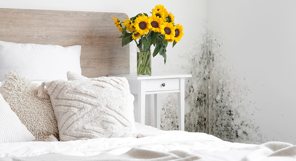 Humidité dans une chambre : causes et solutions