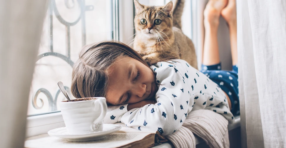  Isolation phonique : les fenêtres