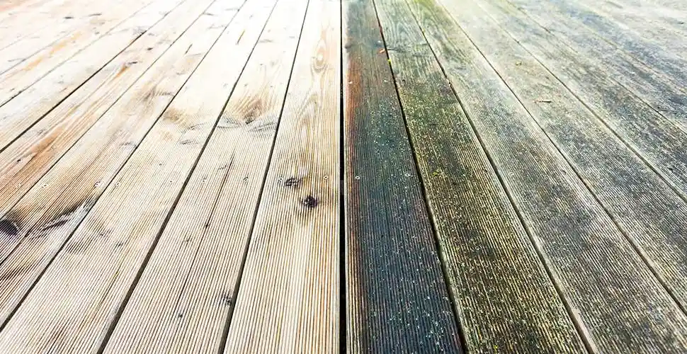 Comment traiter une terrasse qui verdit ?