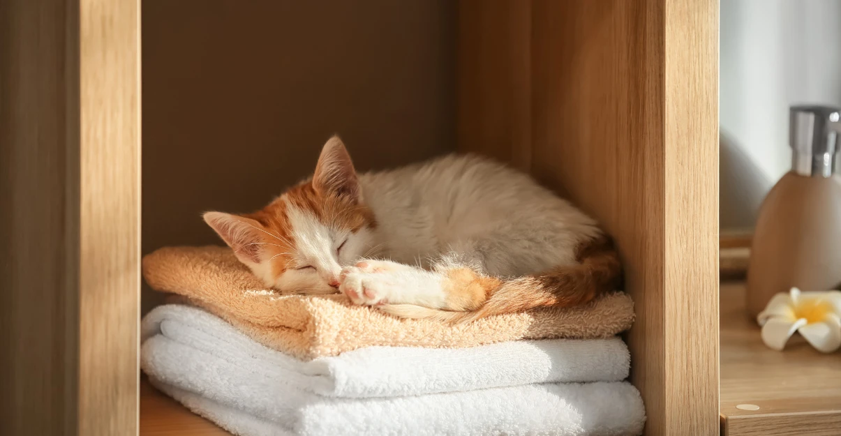 Aménagement salle de bain : importance de l'acoustique