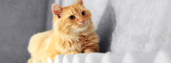 Chauffage clim : Guide Chauffage 2025