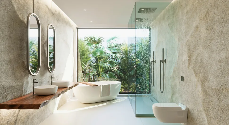 Salle de bain baignoire et douche