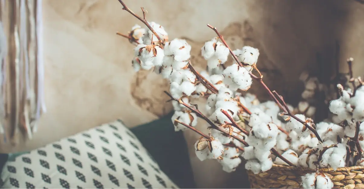 Style wabi-sabi : harmonie avec la nature