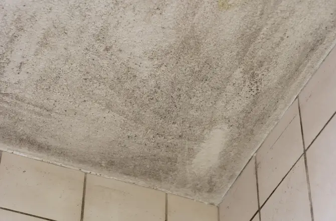 Mauvaise étanchéité dans une salle de bain