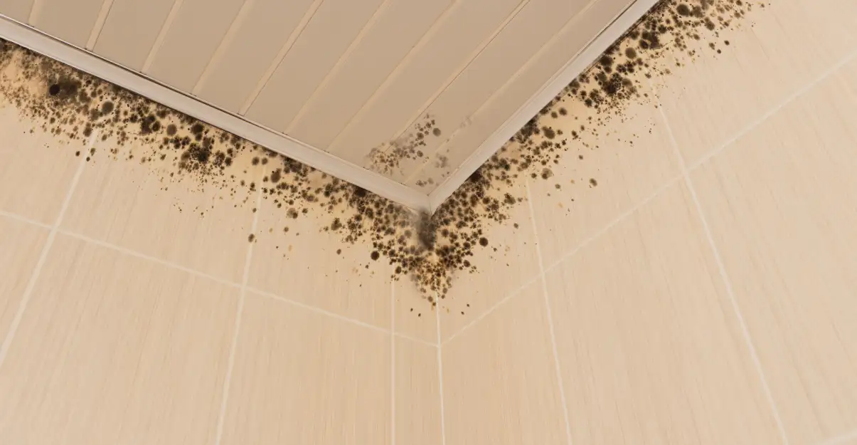 salle de bain parentale