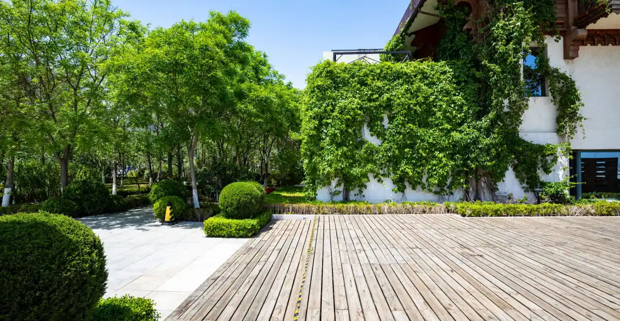 Les végétaux environnants entretiennent un milieu propice