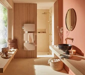Amarilis dans une salle de bain