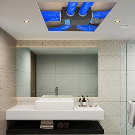 Hygrogenius sur le plafond d'une salle de bain