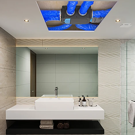 Hygrogenius dans une salle de bain